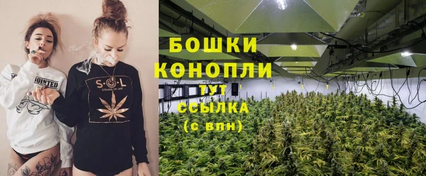 сатива Михайловск