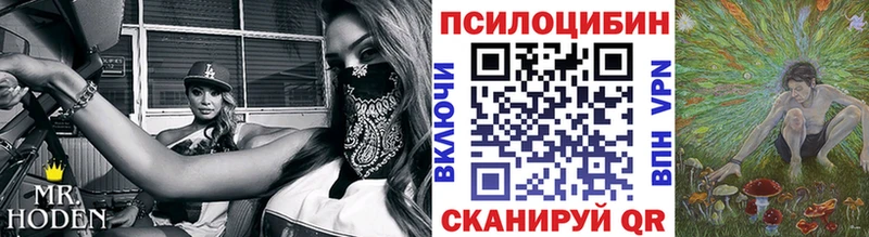 Псилоцибиновые грибы мицелий  Полярные Зори 