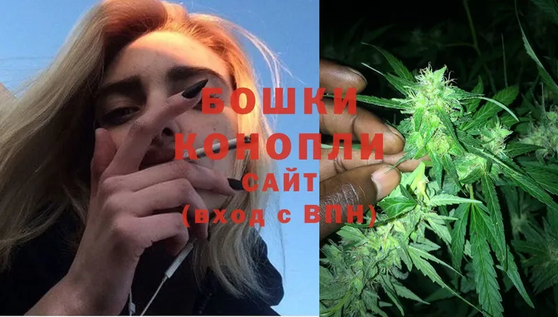 купить  цена  Полярные Зори  ОМГ ОМГ ссылки  Бошки марихуана SATIVA & INDICA 